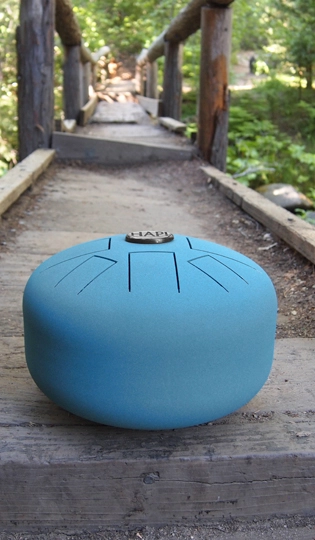 a steel tongue drum sitting on a wooden bridge in a forest